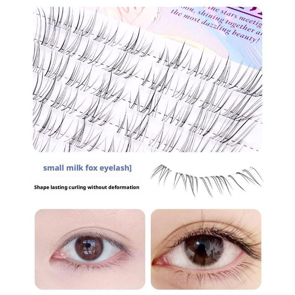 Zonnebloem Wimpers Bruin Manga - Eyelash Extension Douyin recensie en prijs